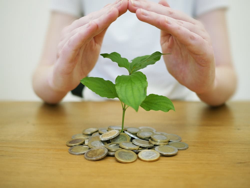 ¿En qué puedo invertir mi dinero para multiplicarlo?