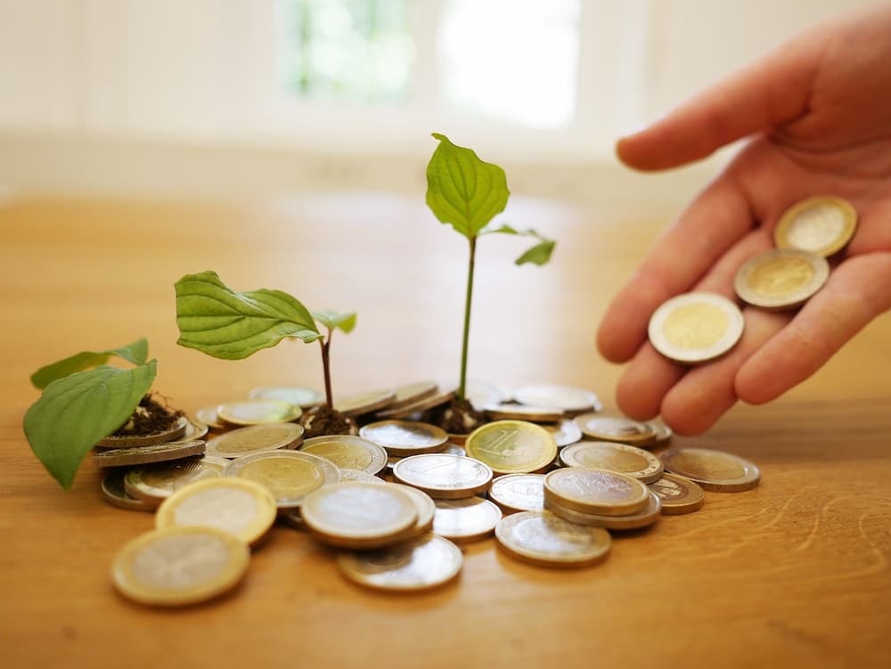 Fondos monetarios vs cuentas de ahorro: ¿Qué elegir?